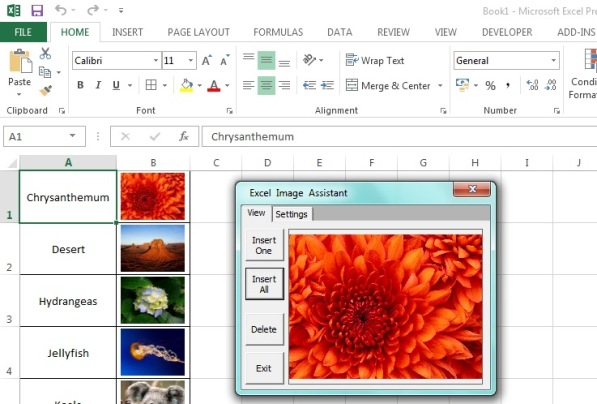 Insert image file names into Excel