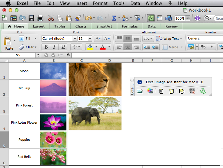 Excel Image Assistant for Mac