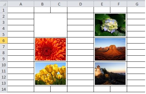 inserted pictures into merged cells in Excel